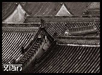 Xian Rooftops